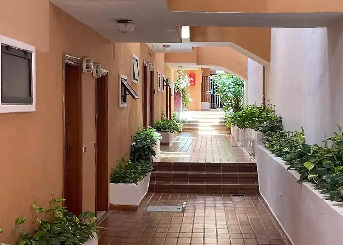 Ocean View Excellent Quiet Place Appartement Costa Adeje (Tenerife)